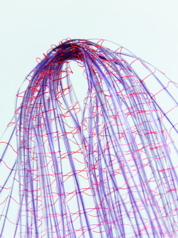 Delicate strands of purple and red lace create an abstract, flowing shape against a light background.