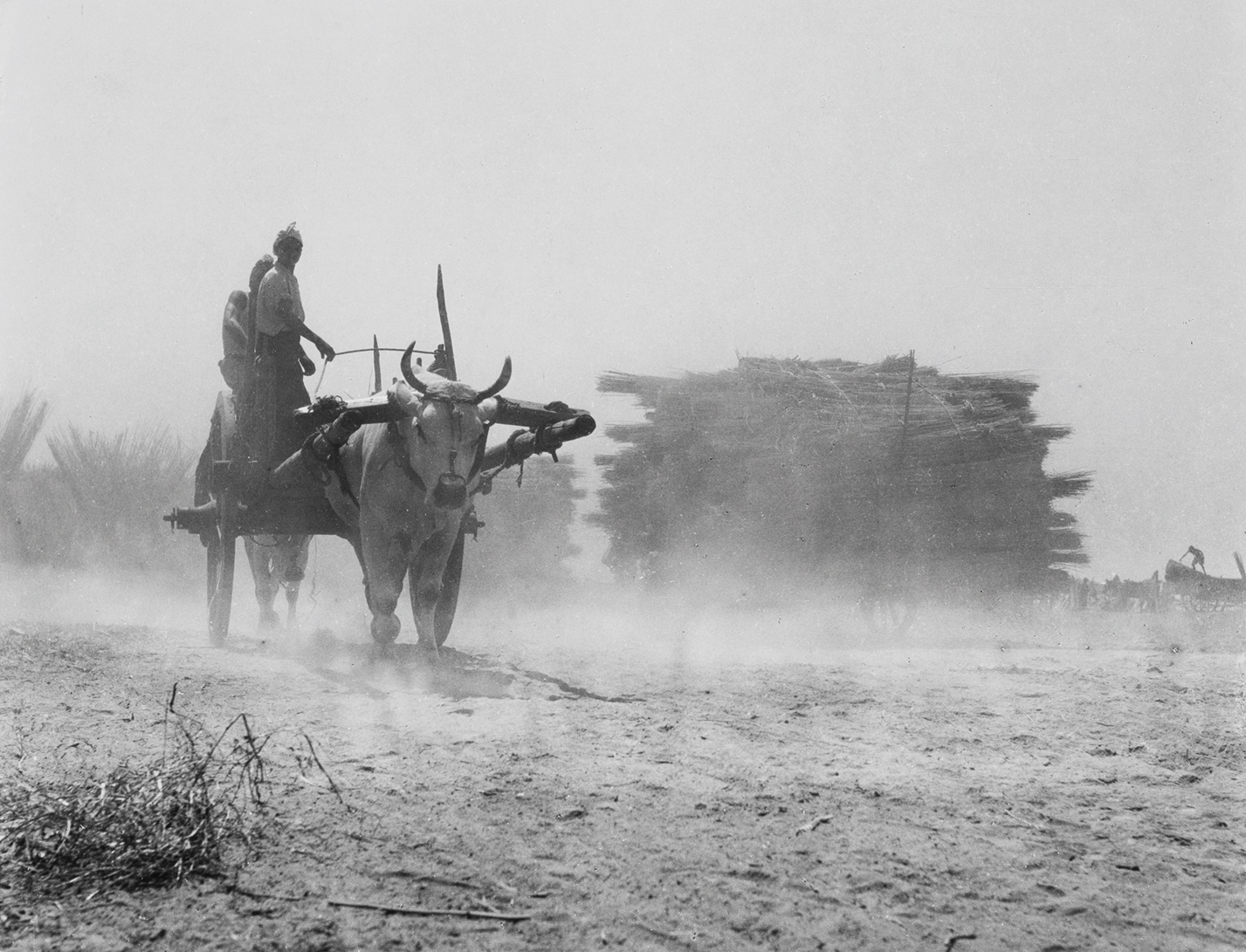 Dusty landscape with a cart pulled by an ox, two figures seated, and stacks of hay in the background at dawn.