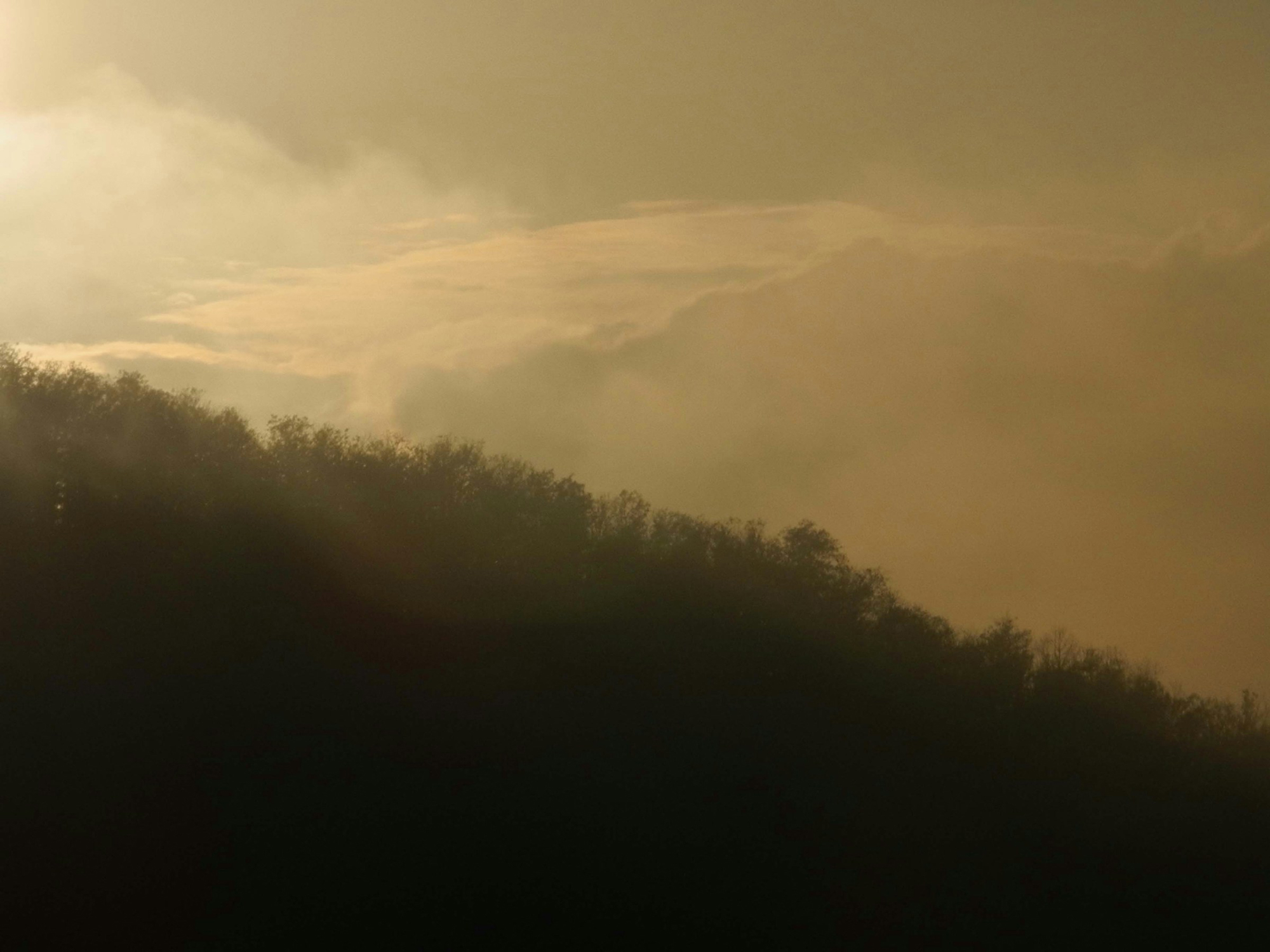 Misty landscape with a silhouette of a forested hill against a soft, cloudy sky.