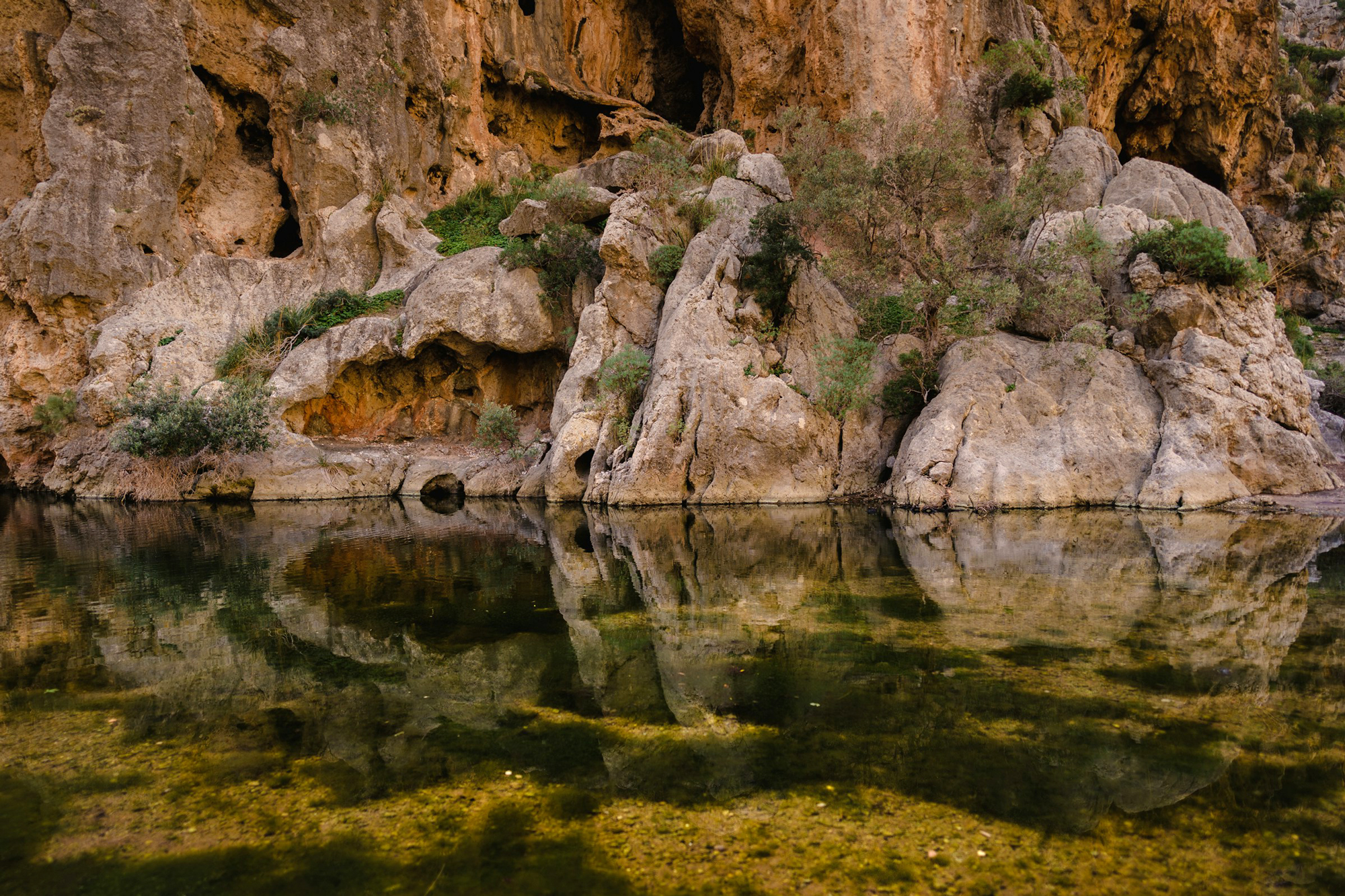 Rocky cliffs reflected in calm water, surrounded by greenery, capturing a serene natural landscape in Palma.