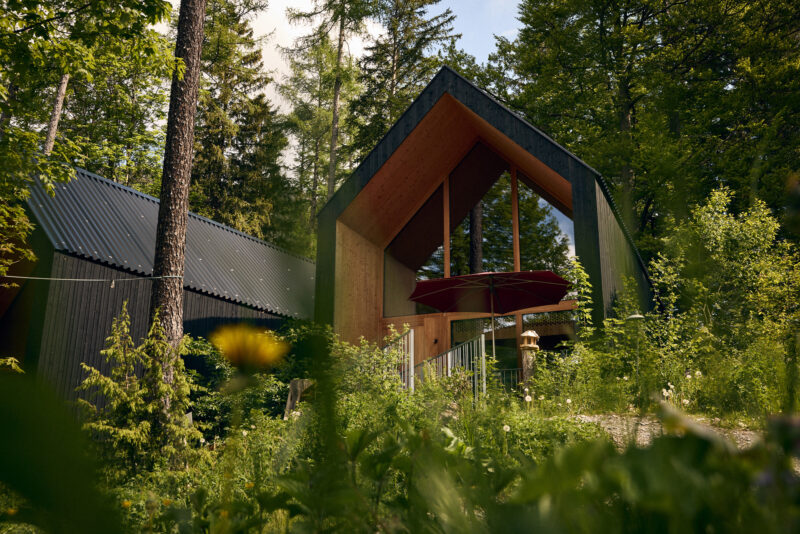 Modern chalets nestled in a lush forest, featuring large windows and a distinctive angular roof design.