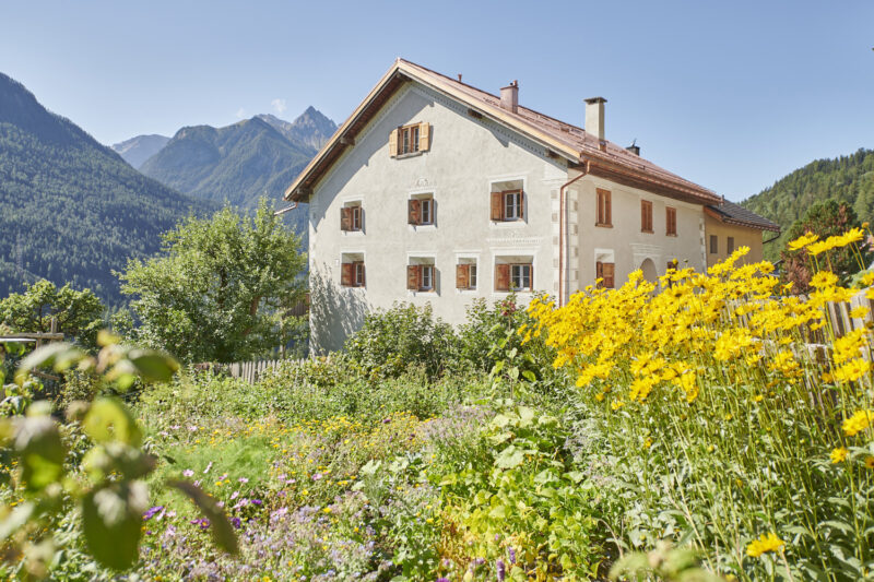 Charming house surrounded by vibrant yellow flowers and lush greenery, with mountains in the background.