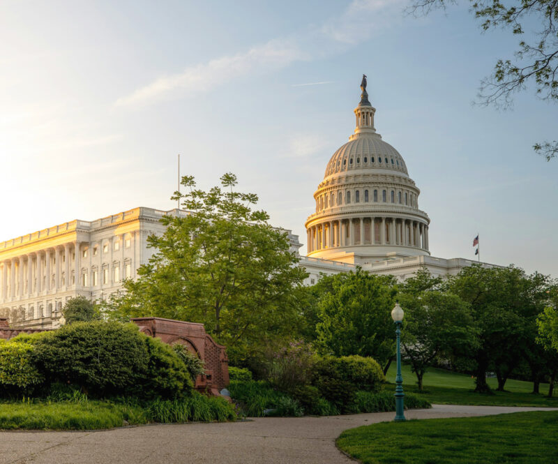 U.S. Capitol building at sunrise, surrounded by greenery and trees, with a clear sky in the background.